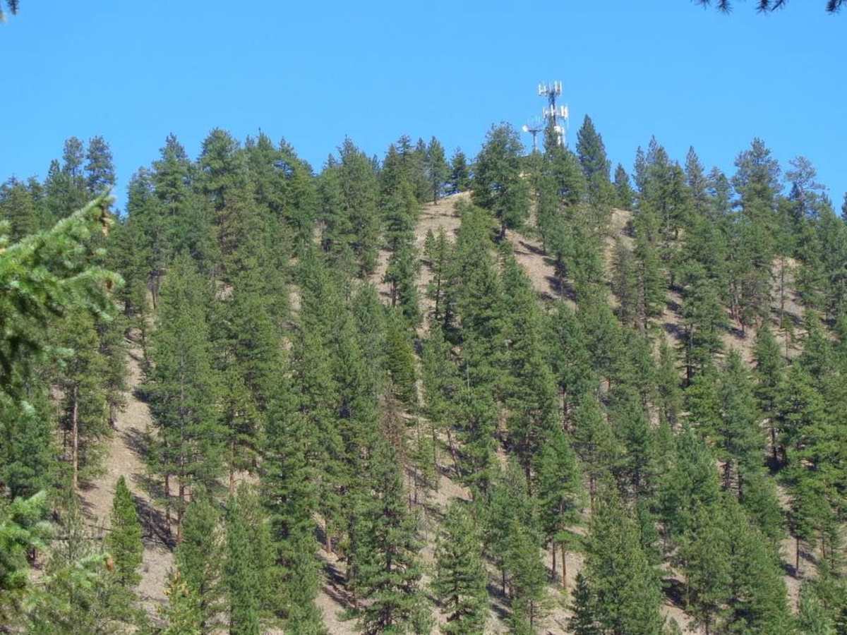 Thompson Peak Lookout Tower photo 3