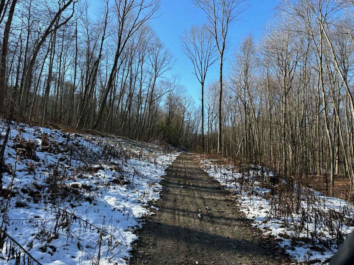 Locust Gap Single Track 15 trail photo