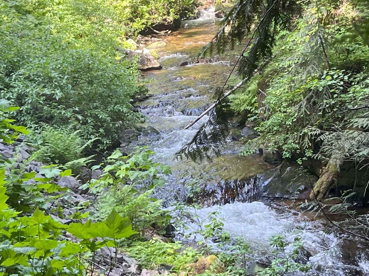 Elk Creek photo 3