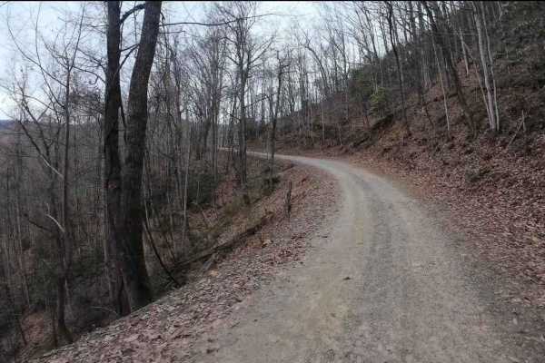 Tatham Gap Road - FS 423