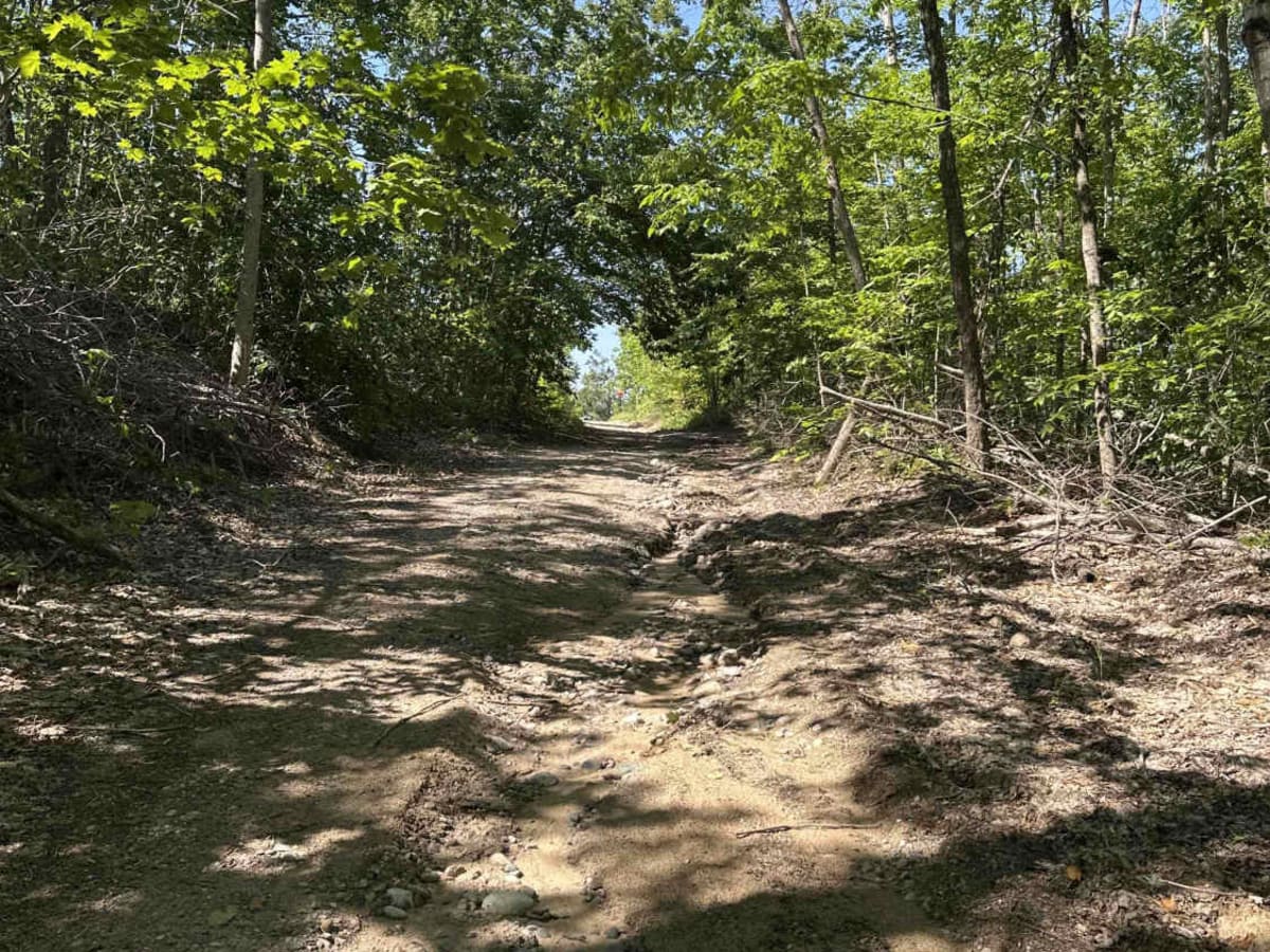 Warren trail photo