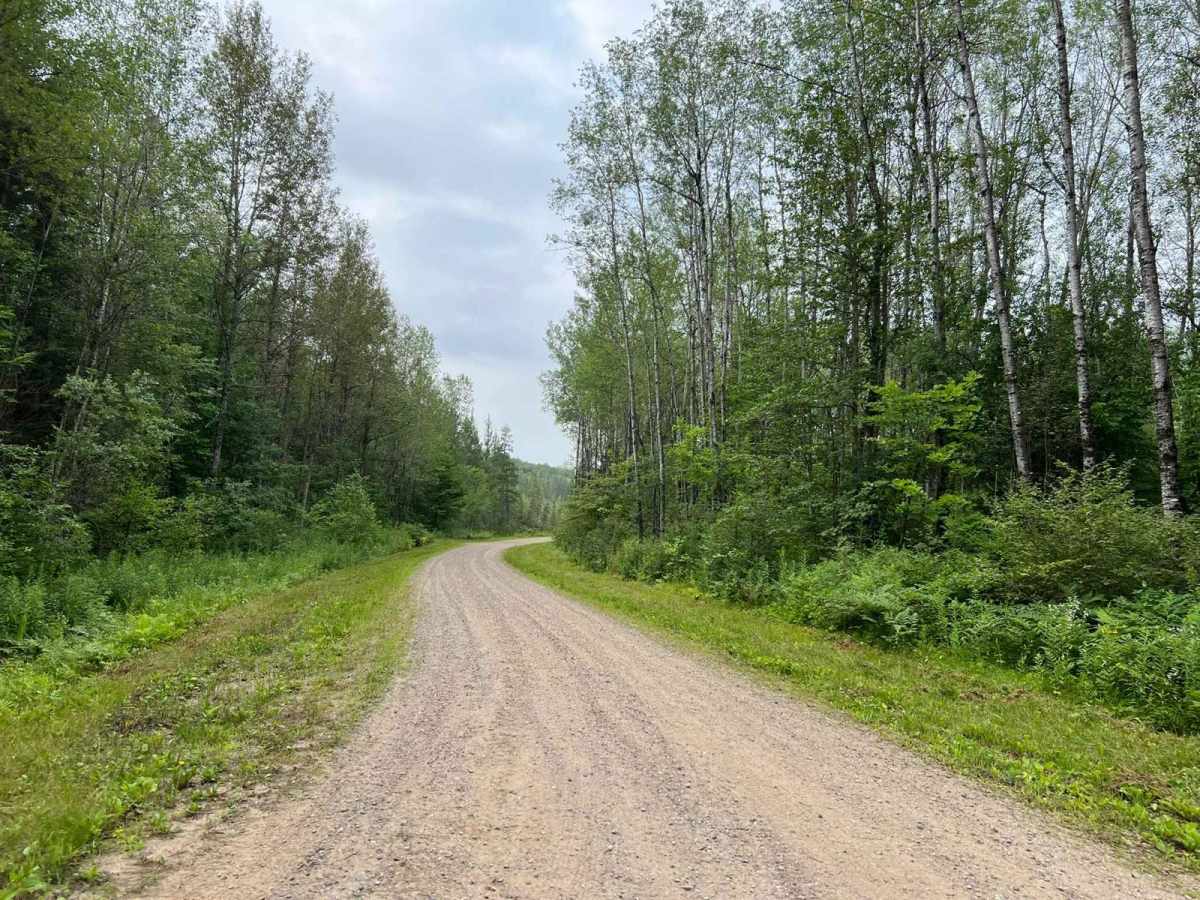 Peshtigo Reserve Road - FS 2695 trail photo