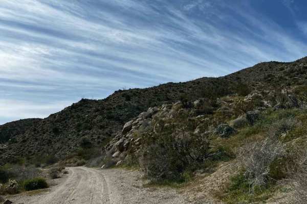 Grapevine Canyon Trail