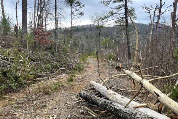Ditney Mountain (66)