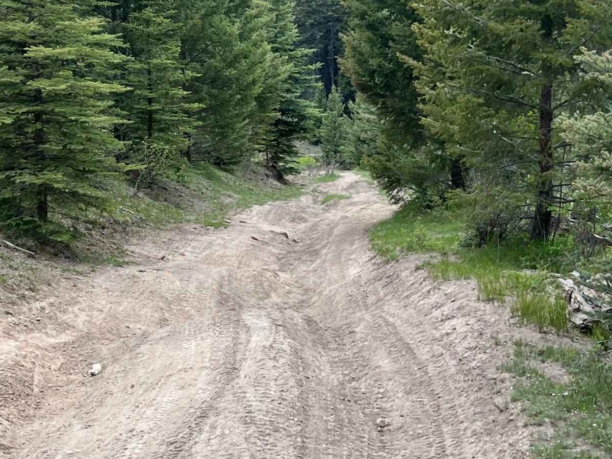 FR 315B Elk Meadows photo 5
