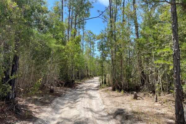 Oberlin Trail