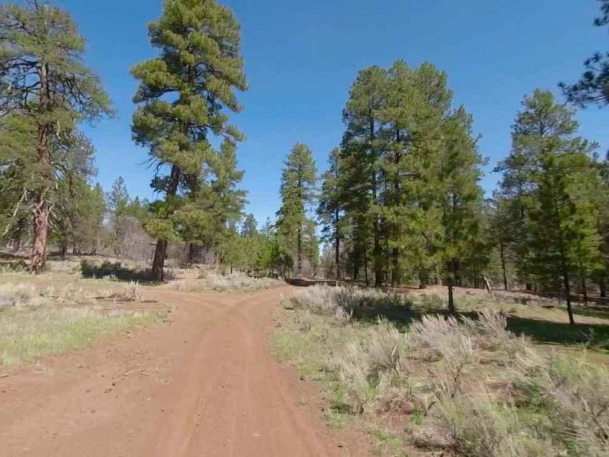 Little Oak Spring Road BLM 1029 photo 2