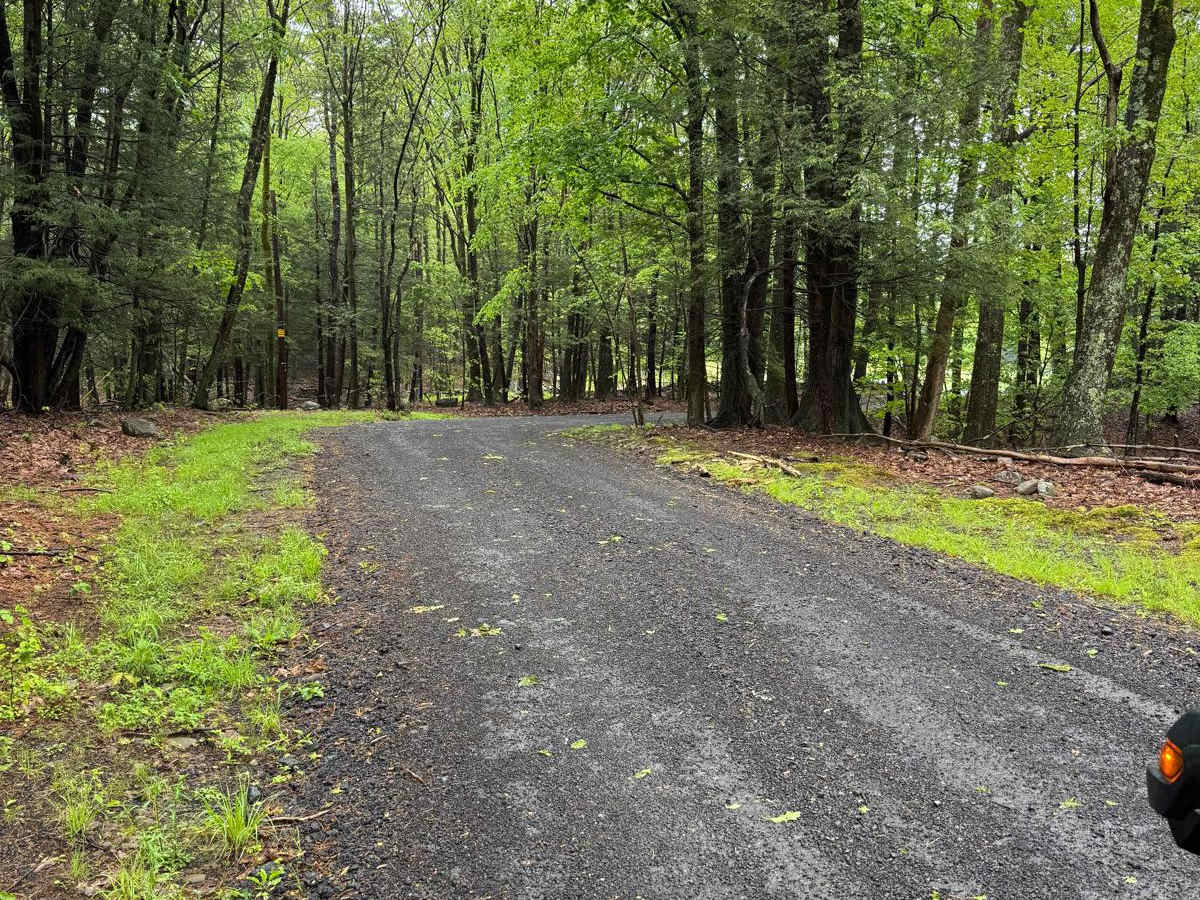 Denman Mountain Rd photo 5