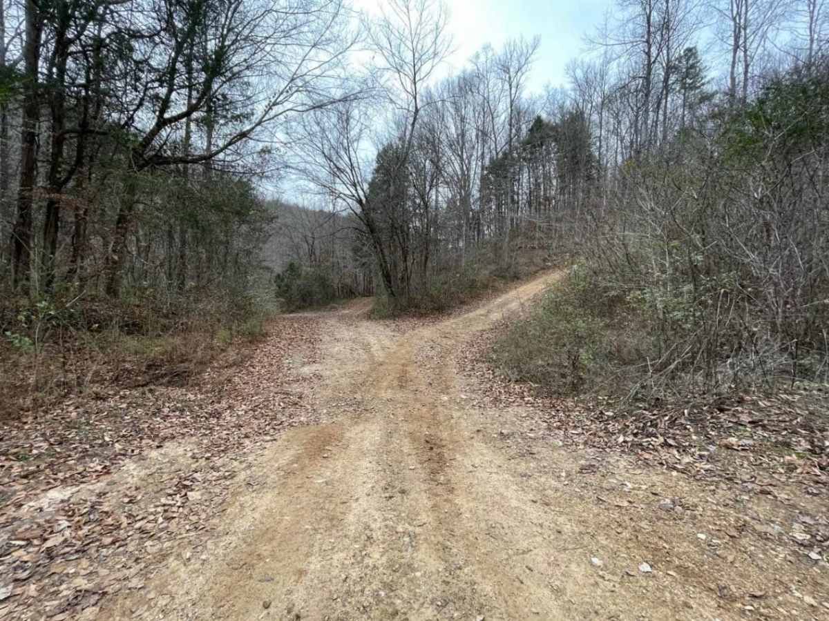 Upper Ridge Trail photo 5