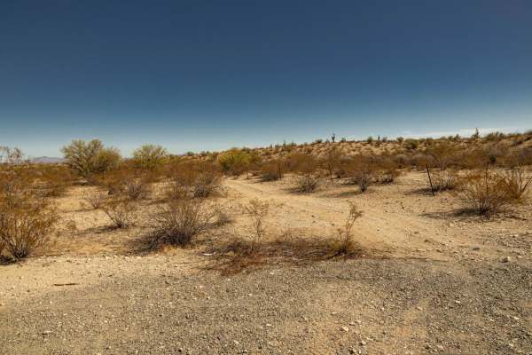 Fenceline Runout