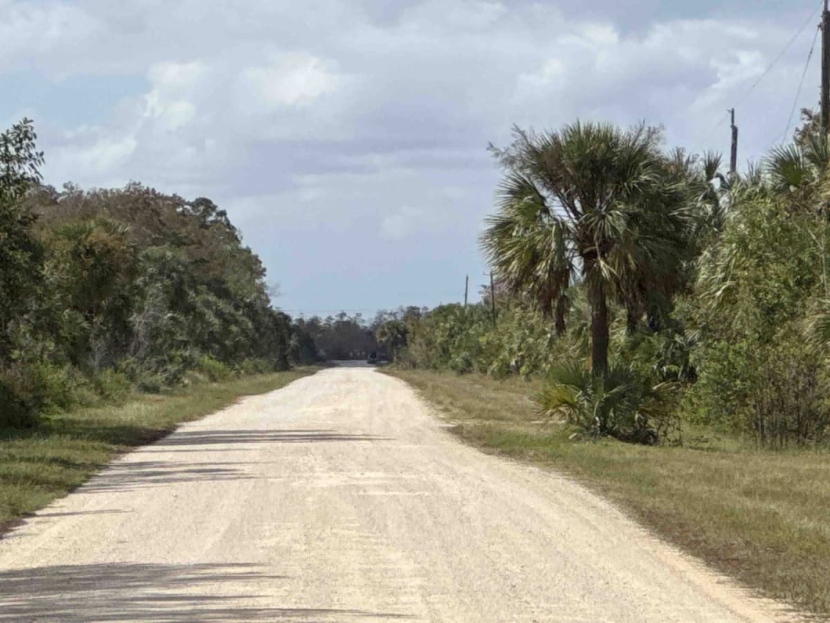 Wagon Wheel Road - CR 837 trail photo