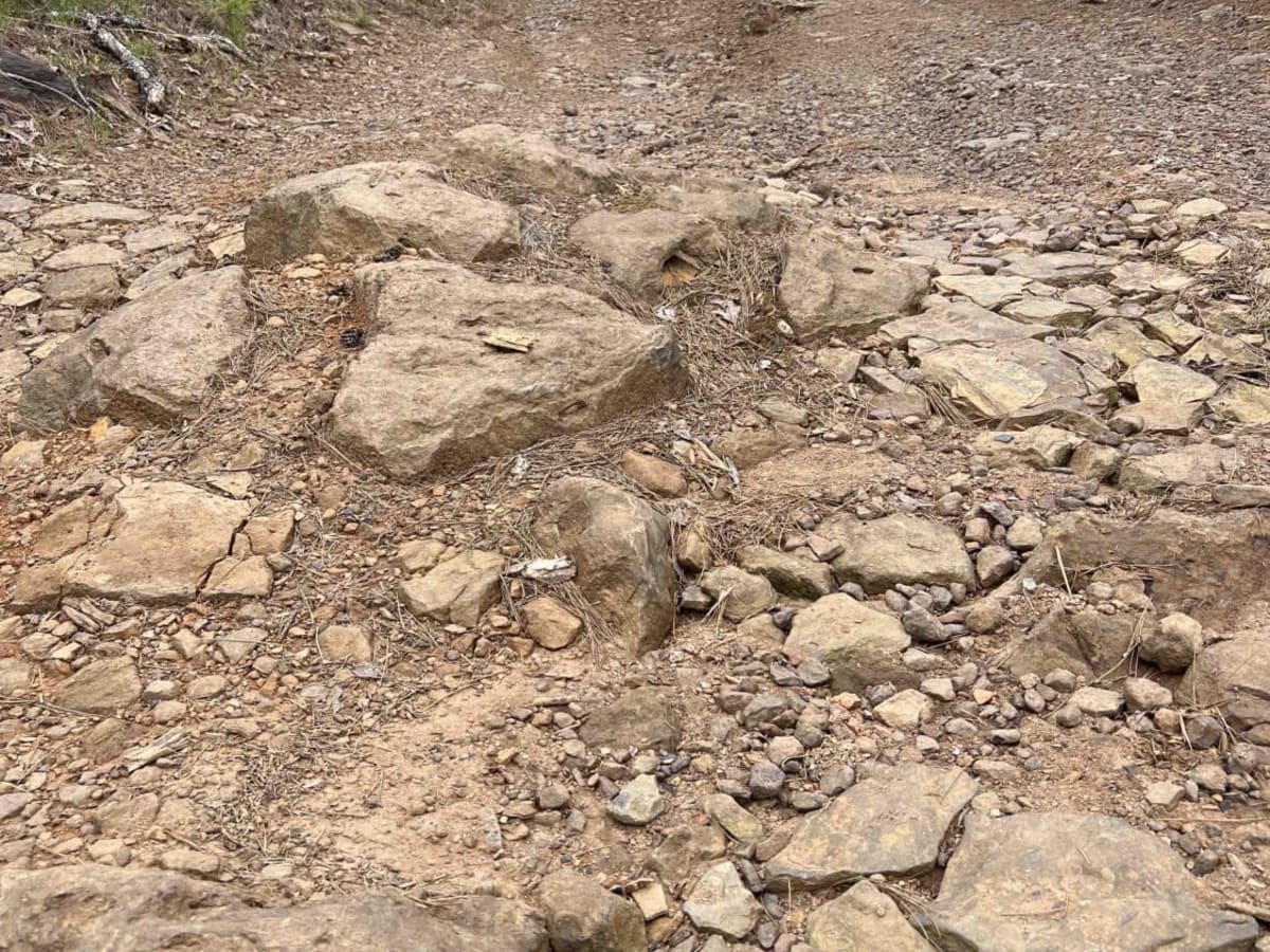 Big Bee Ridge photo 5