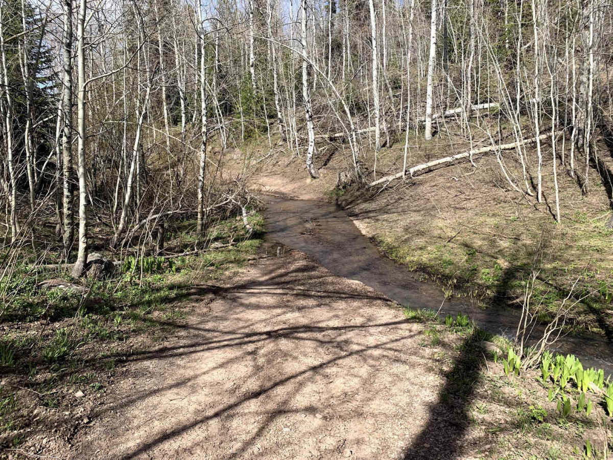 Wahlstrom Fork photo 2