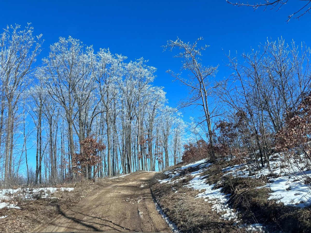 Grayling Hills photo 2
