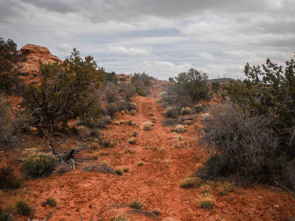 Fence Trail photo 5