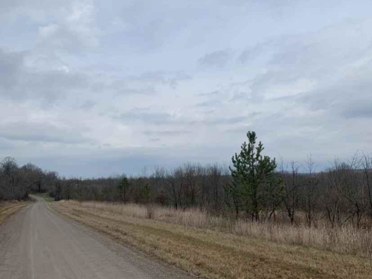 Life Wide Open - Scenic Trail photo 3