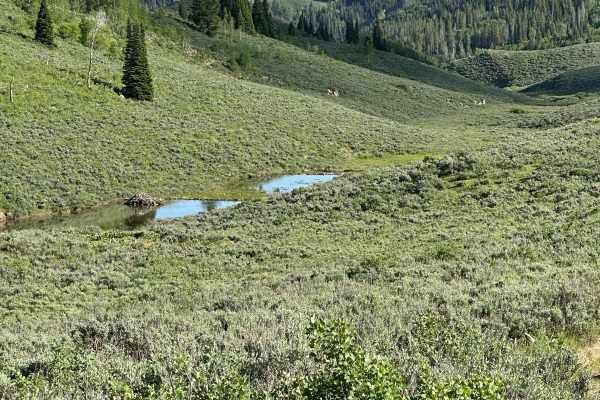 West Fork Smiths Fork