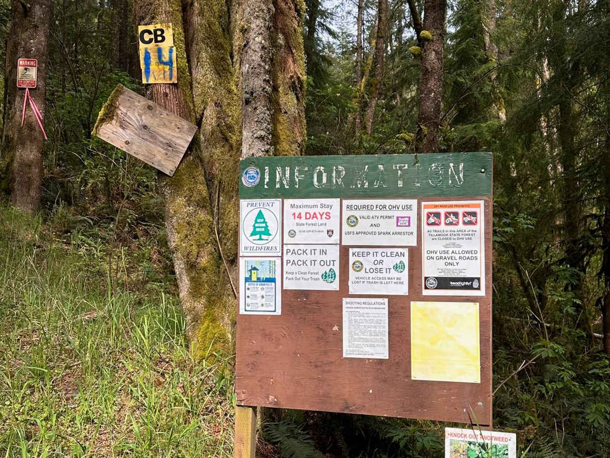 Coal Creek trail photo