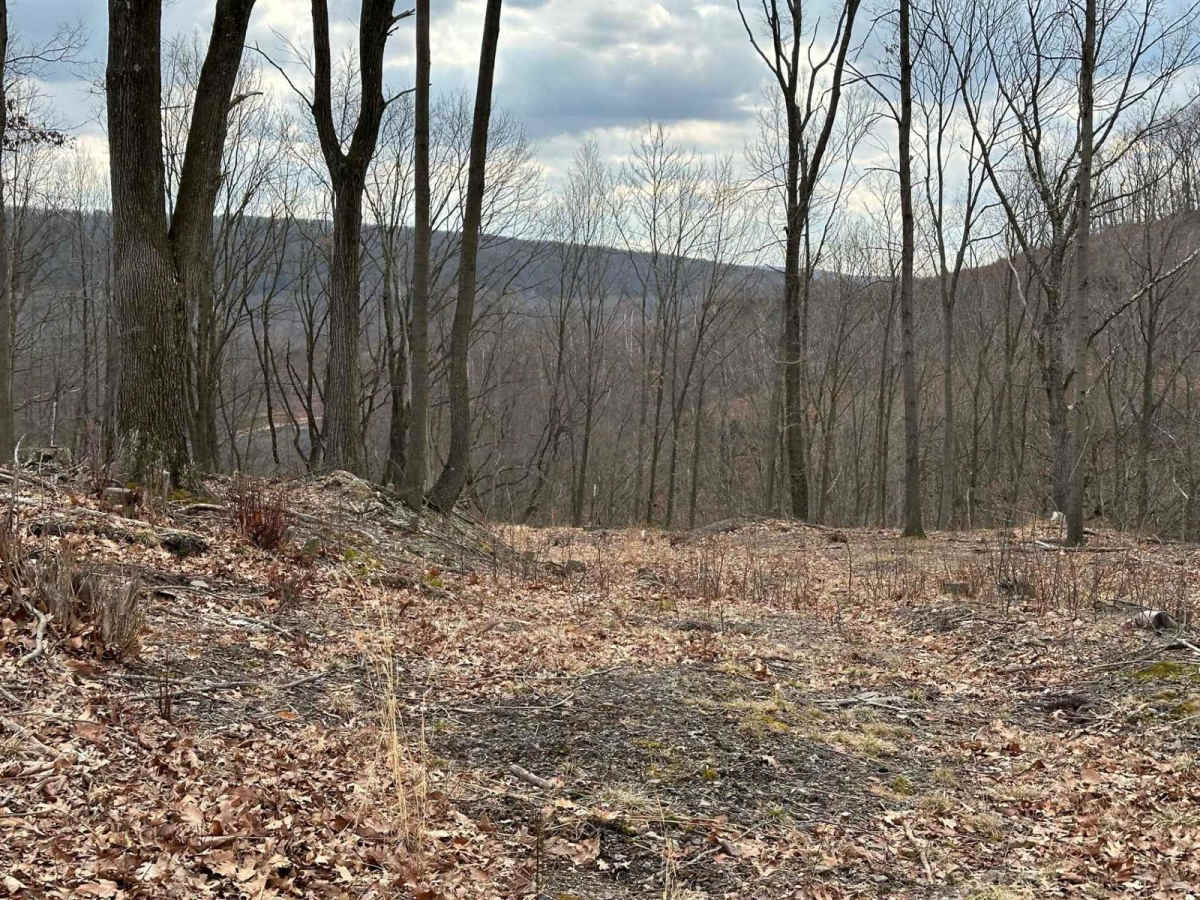 Ashland 66 trail photo