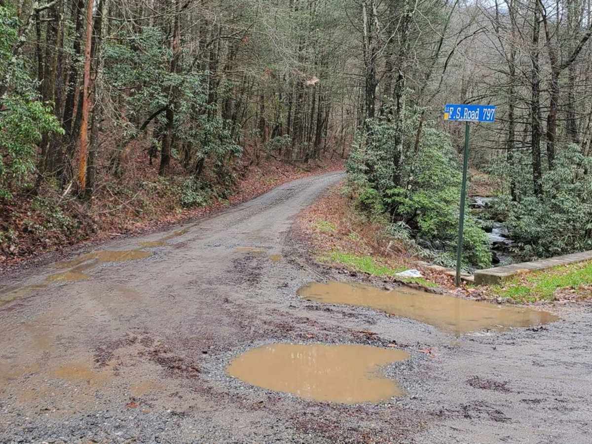 Hickorynut Gap - FSR 797 trail photo