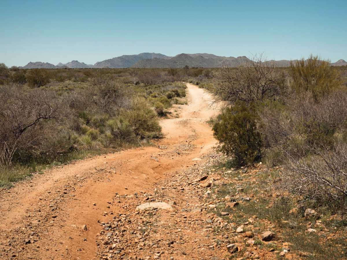 Happy's Runoff trail photo