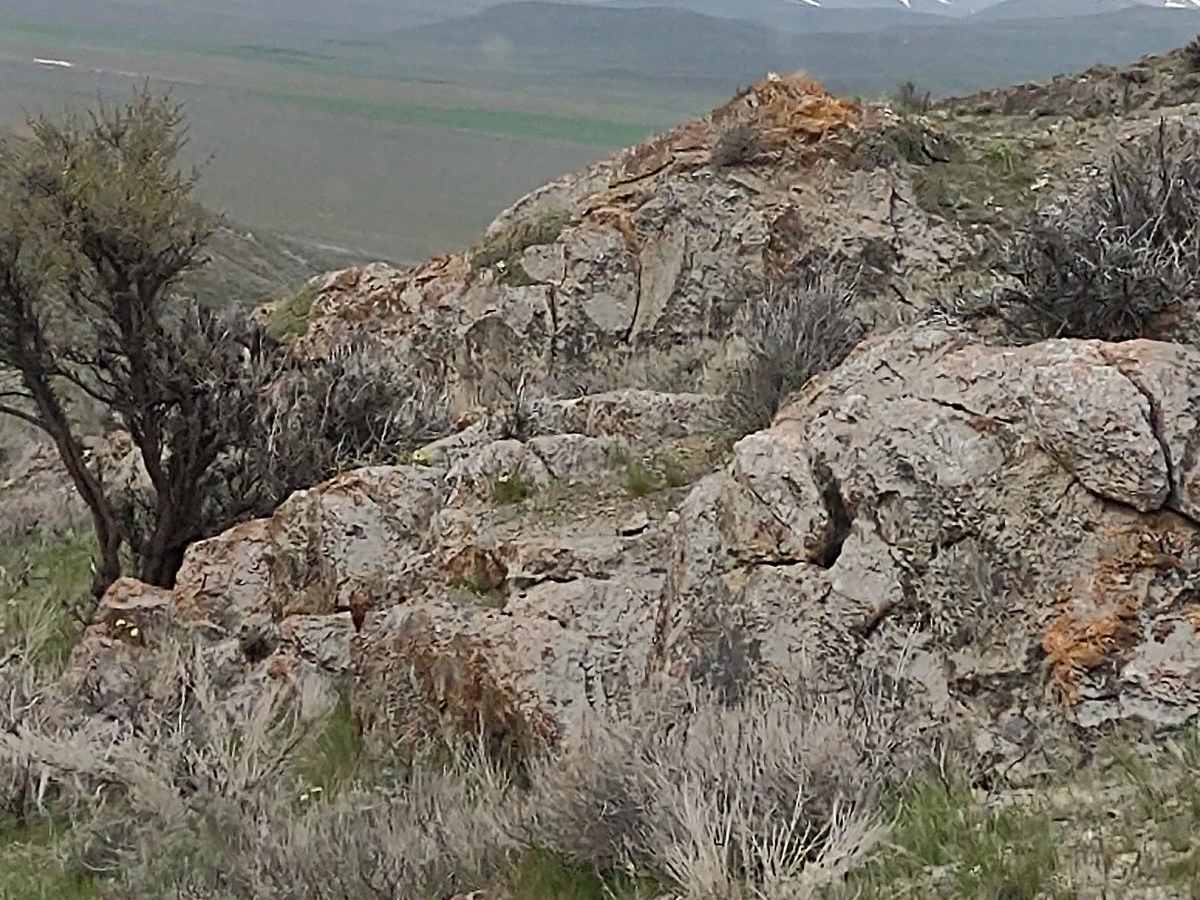 Appendicitis Hill Spur 2 trail photo