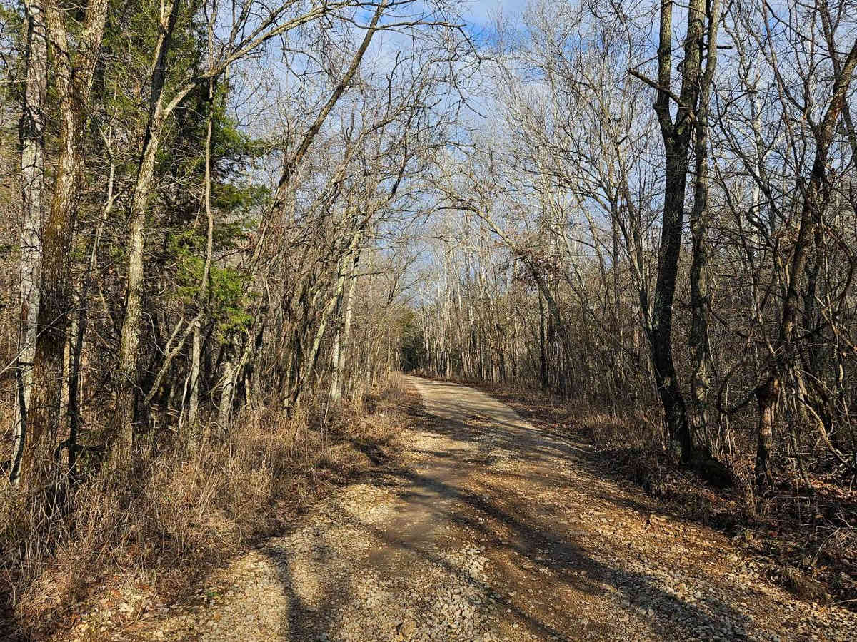 Palmer North - FSR 2695 photo 2