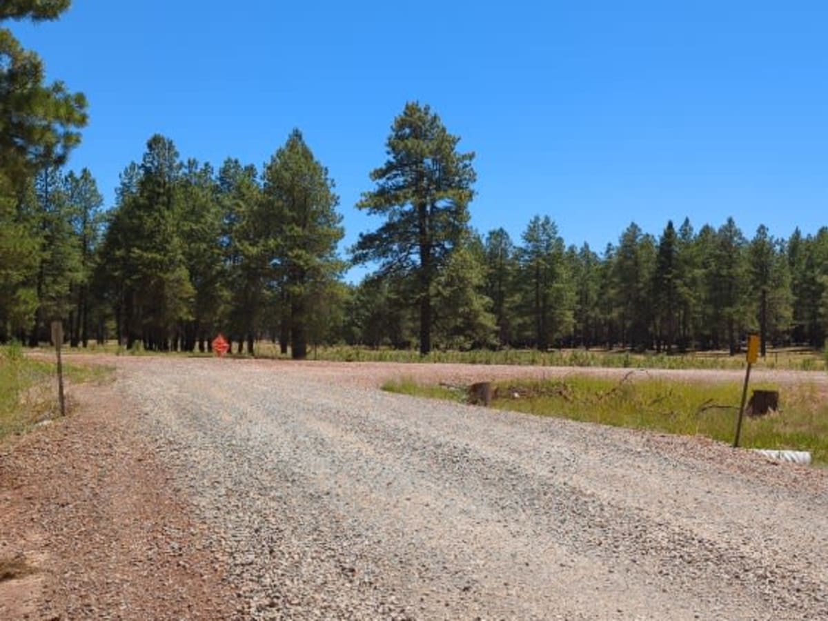 FS 538 Secret Mountain Road photo 2