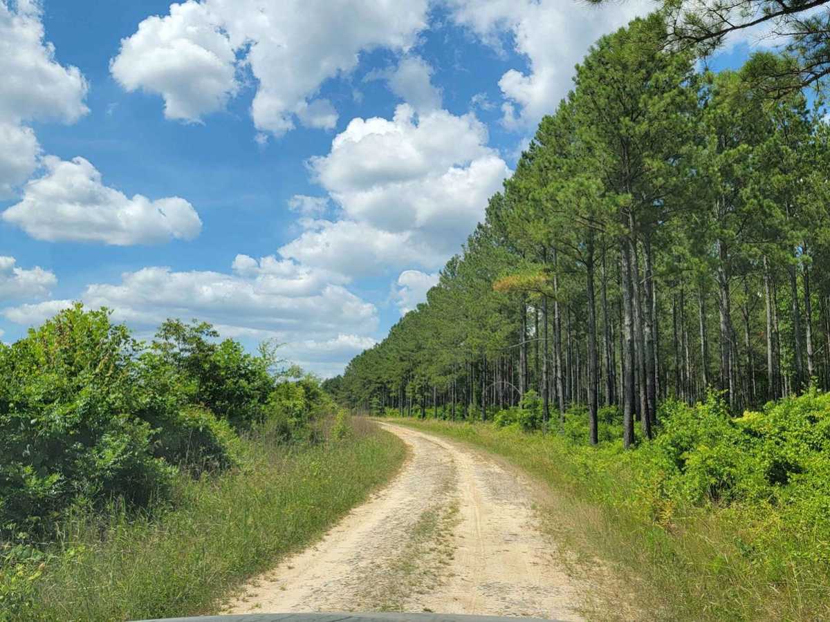 Big Woods Loop photo 2