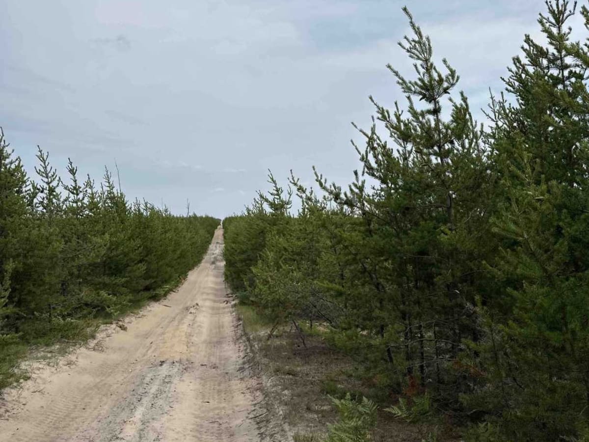 County Road 412 West photo 3