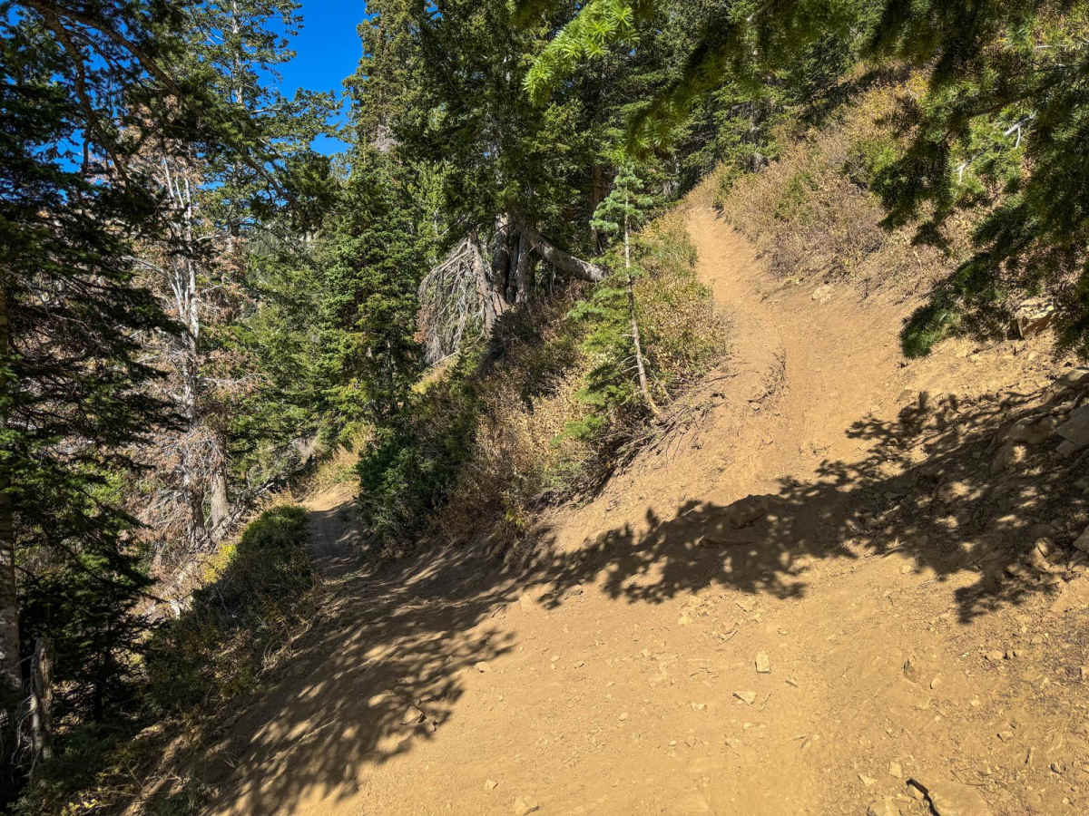 Ridge photo 5