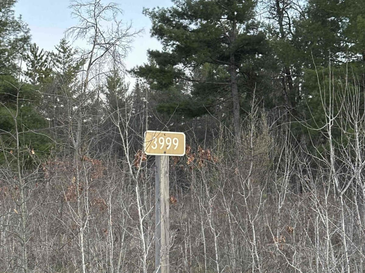 FS 3999 trail photo