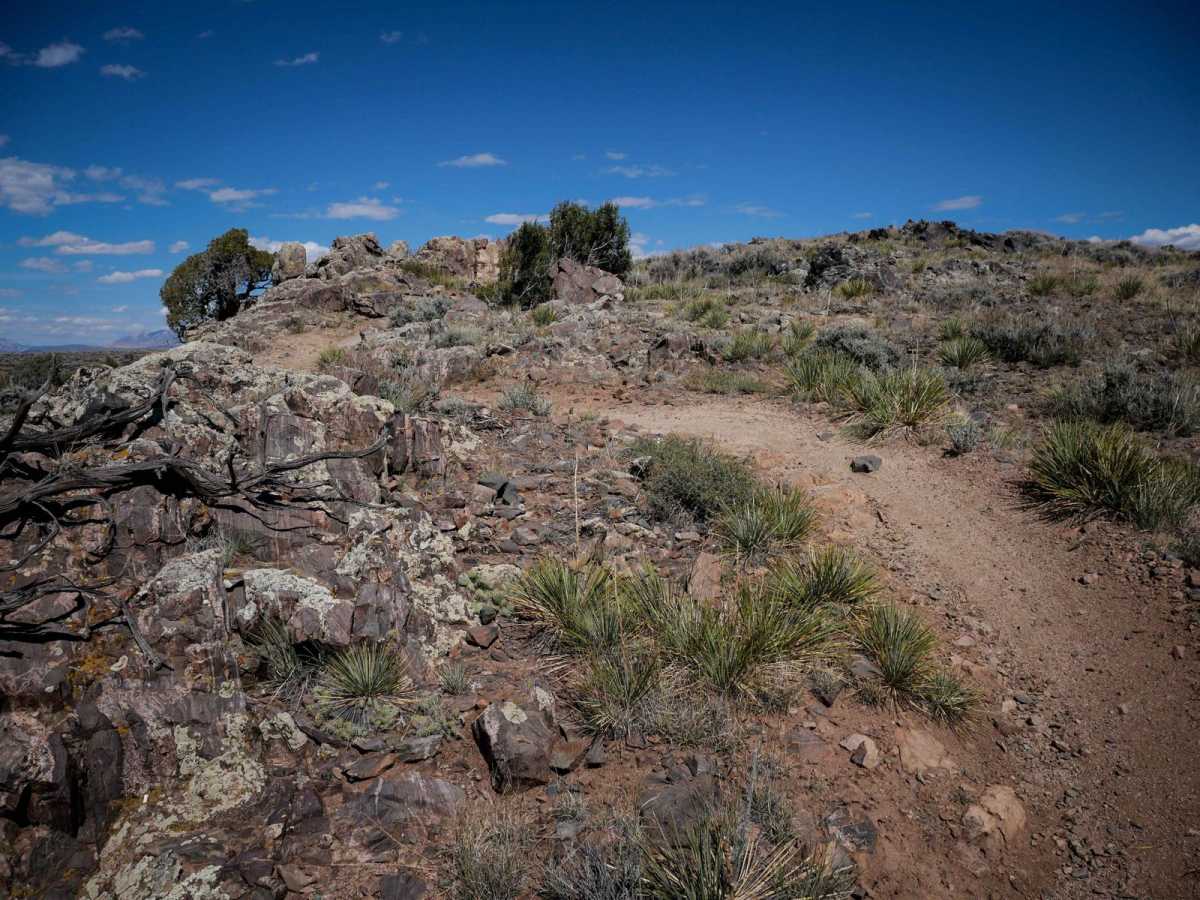 Josie's Trail photo 4