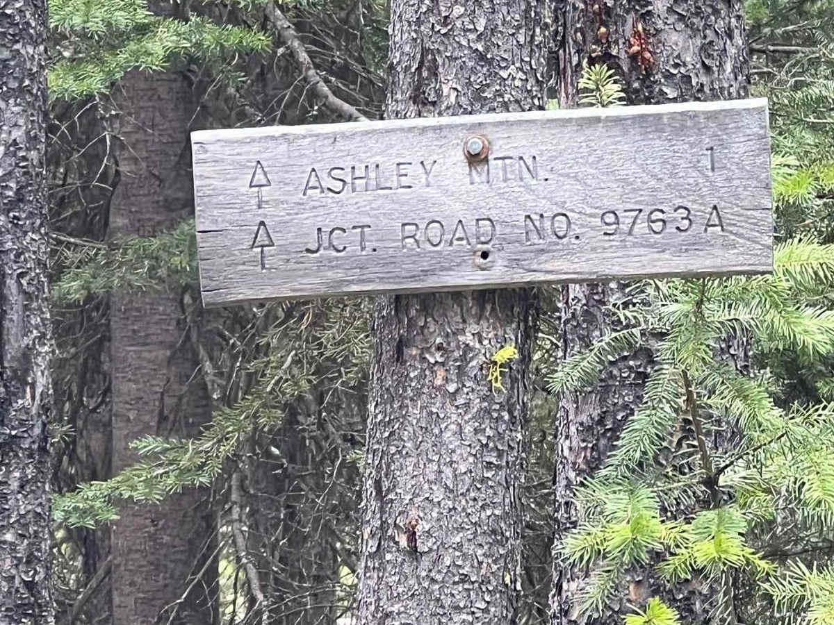 Ashley Divide photo 4