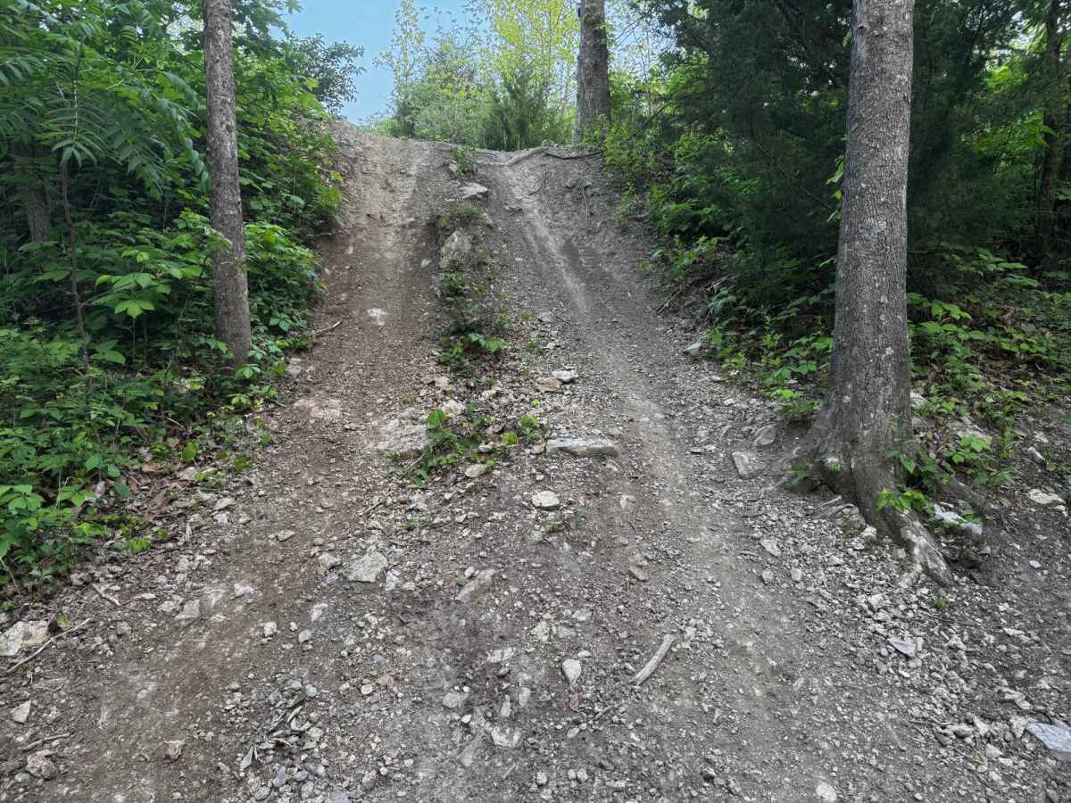 Yellow 157 trail photo