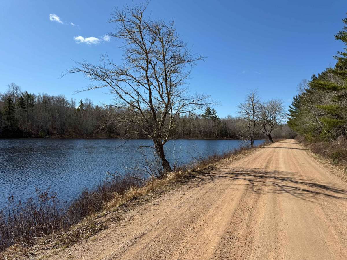 Fire Road trail photo