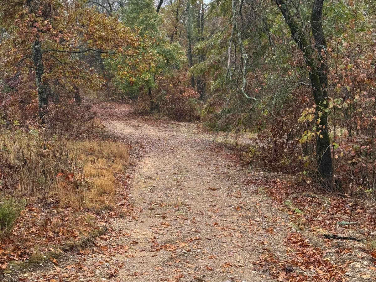 Green 96 trail photo