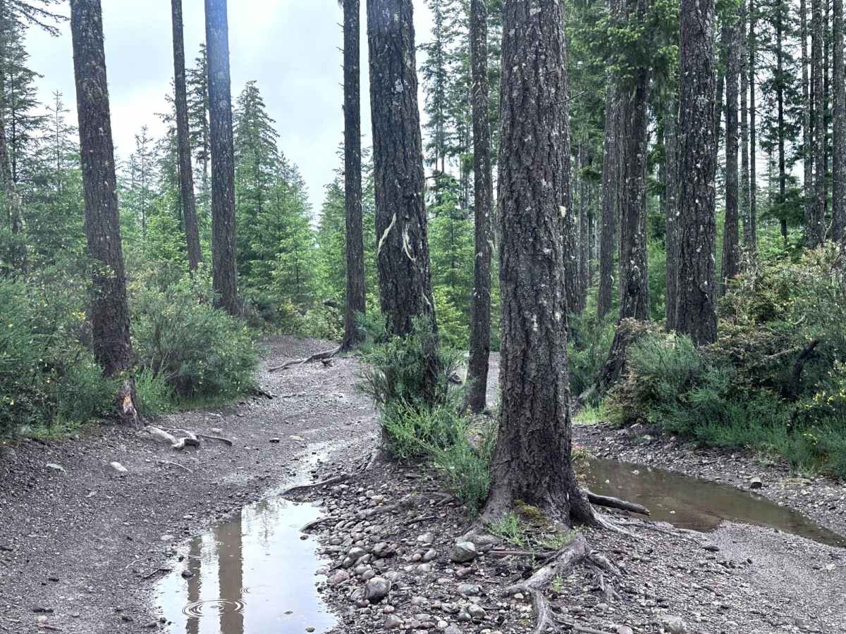 Low Road Trail trail photo
