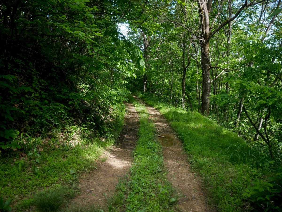 RV39 trail photo