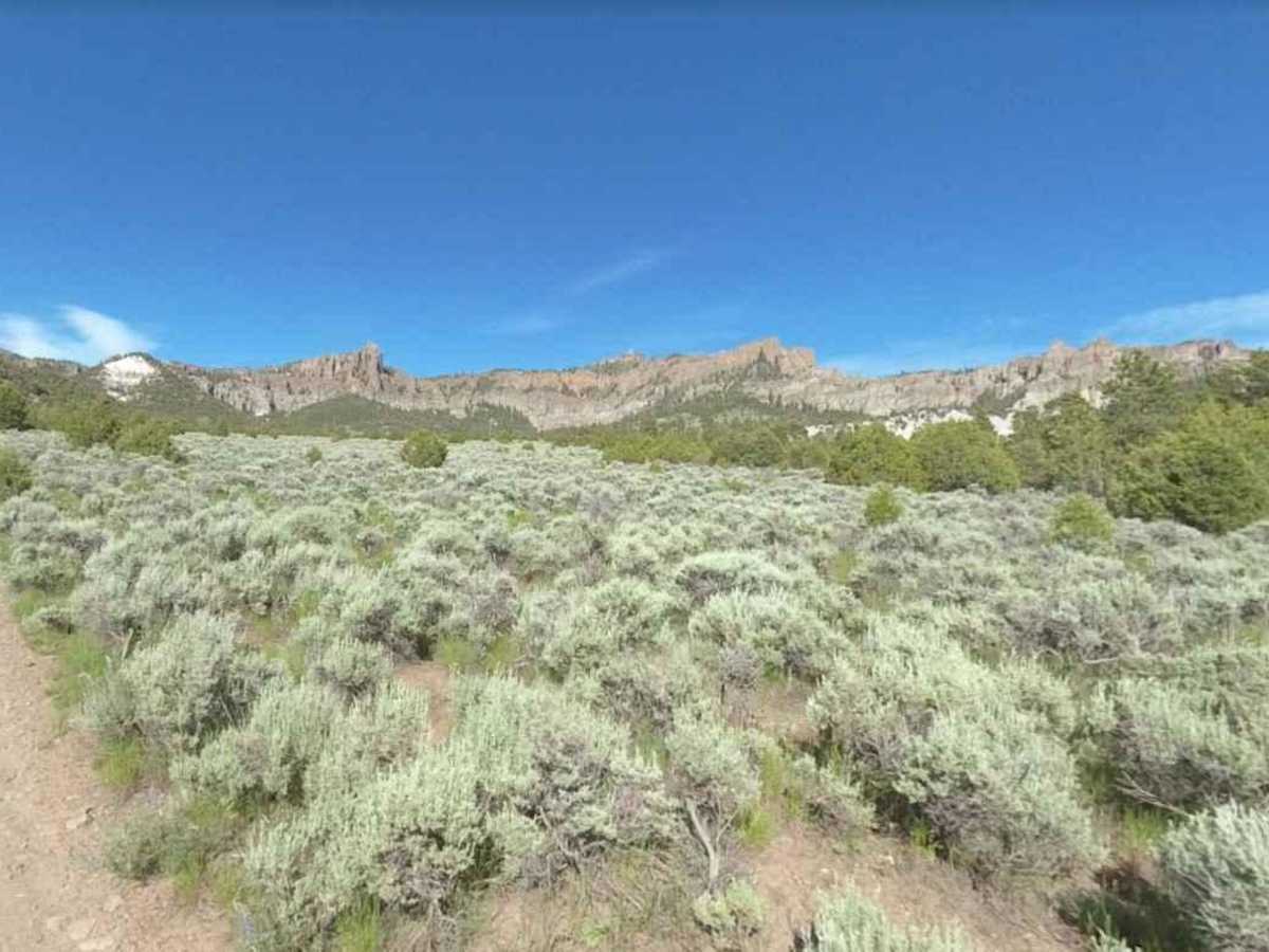 Limekiln Road-BLM2350 photo 6
