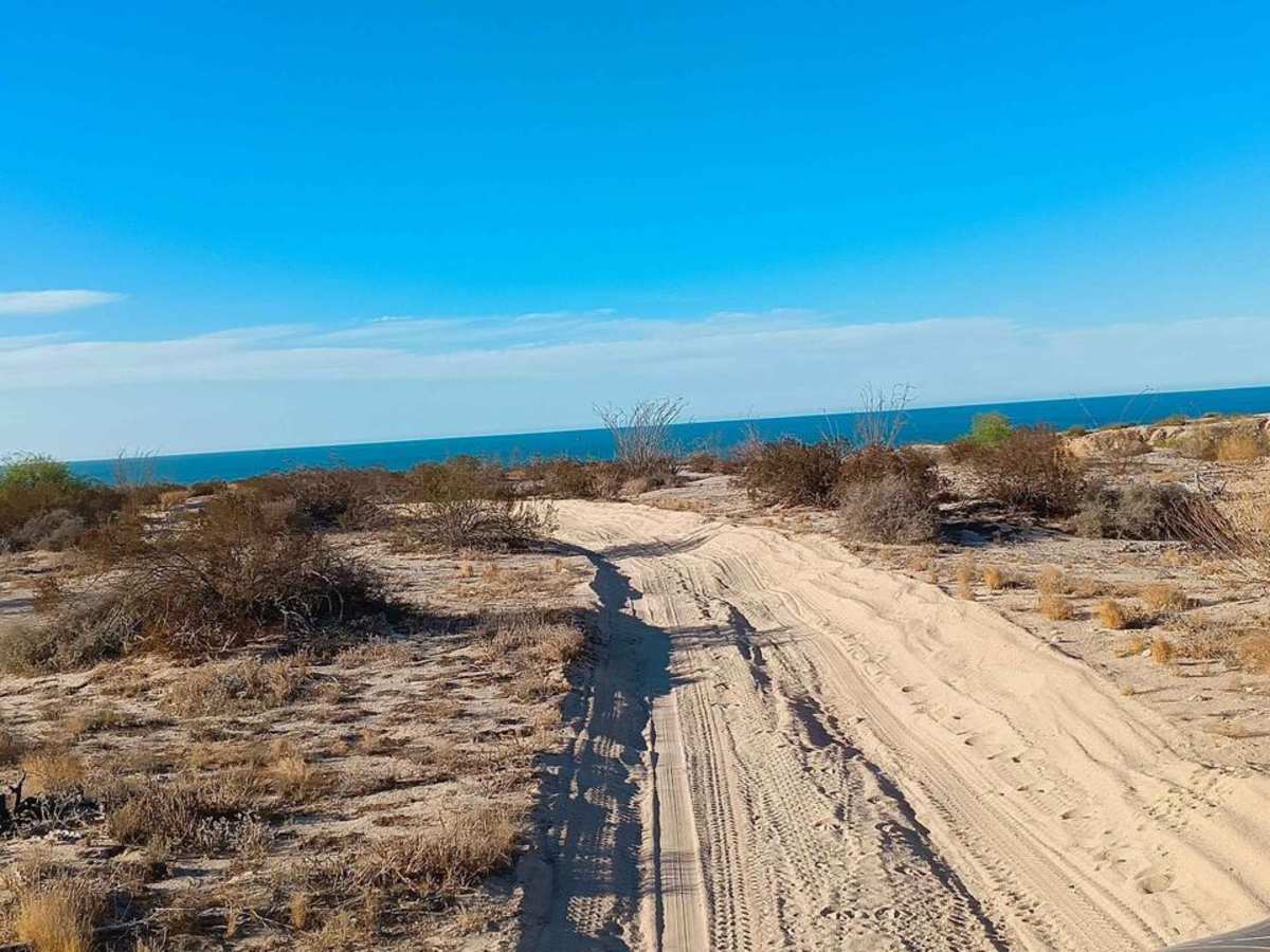 Coastal Whoop Run photo 3