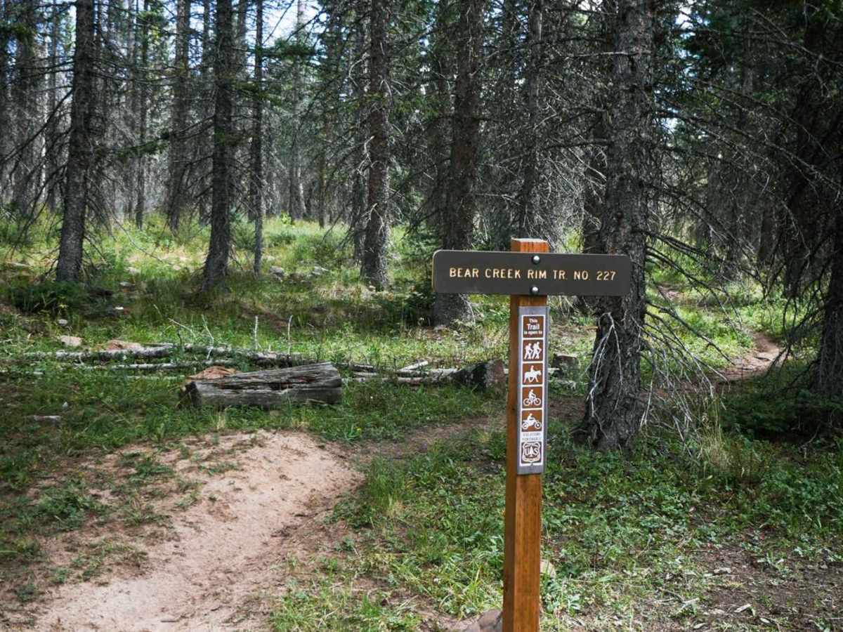 BC Rim trail photo