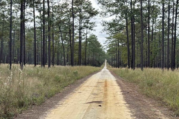 North Tower Trail - ONF 70