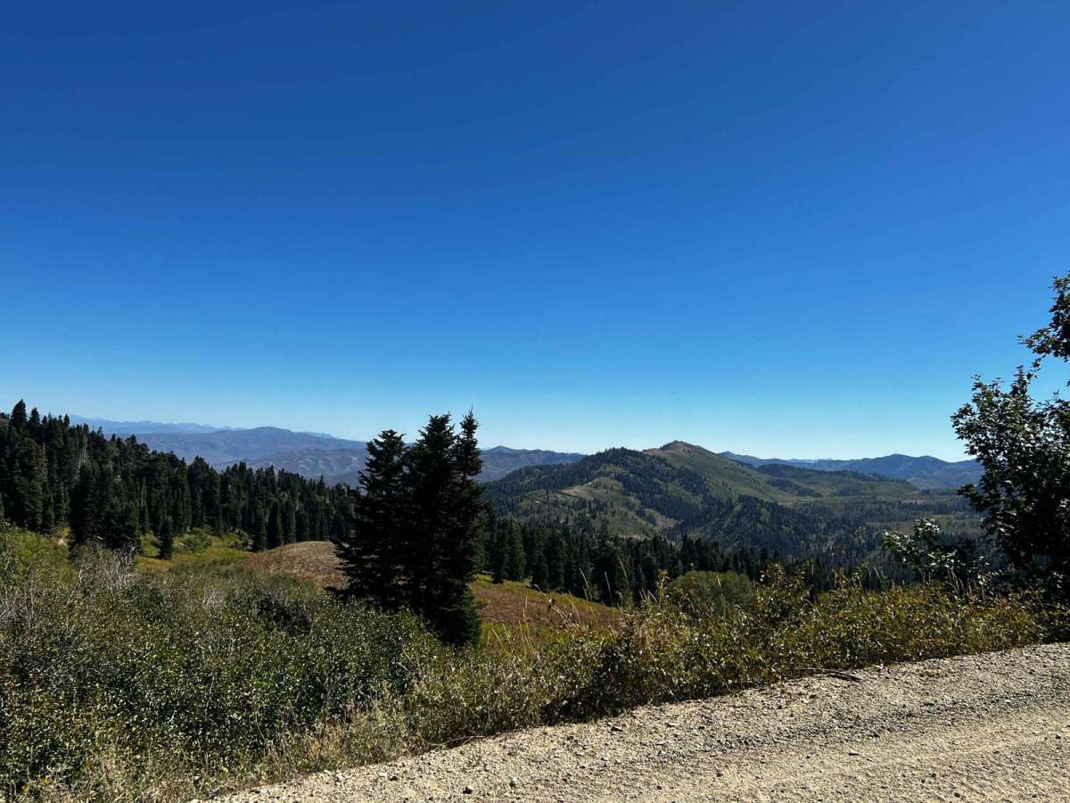 Francis Peak Road (FS 009) photo 4