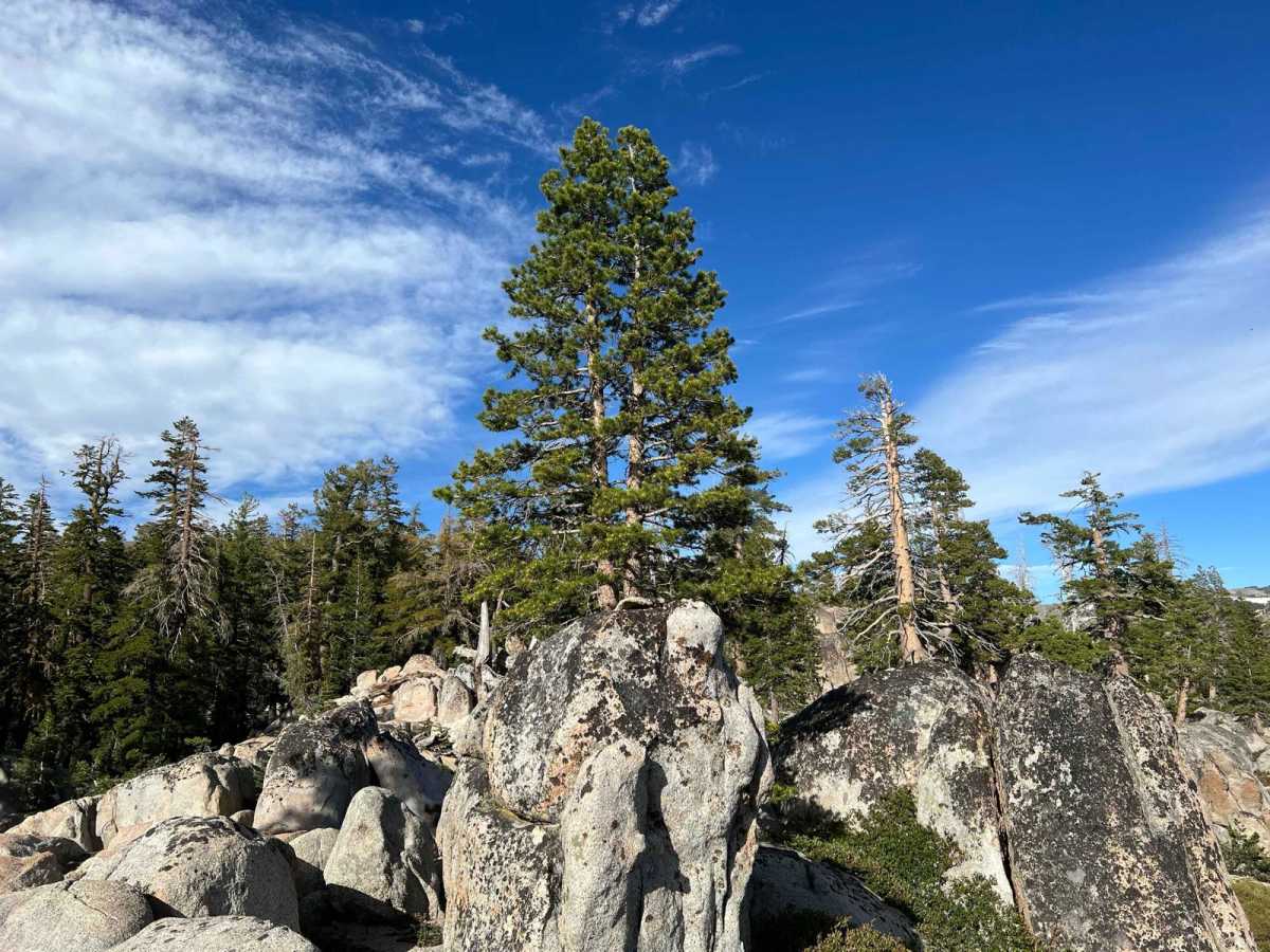 Bald Mountain Overlook photo 4