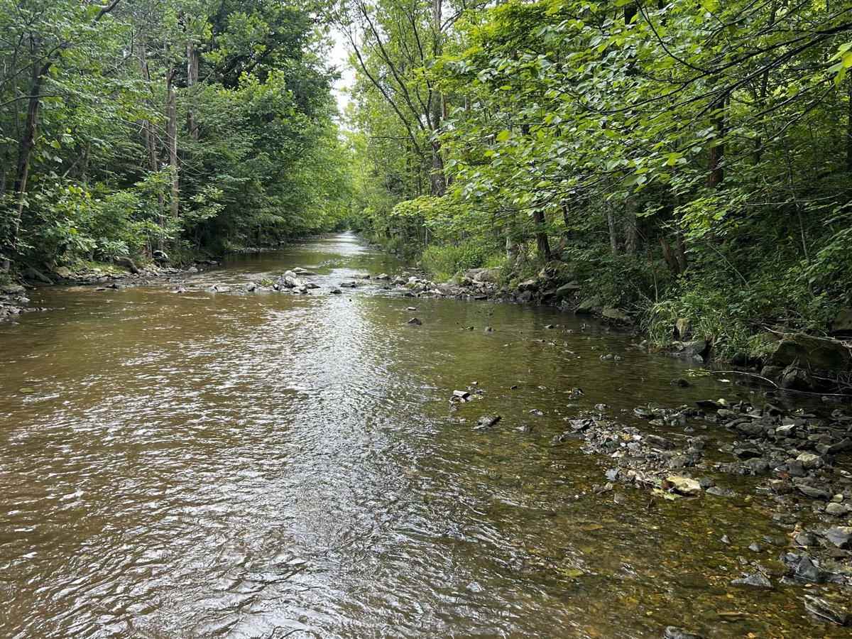 Clear Creek photo 2