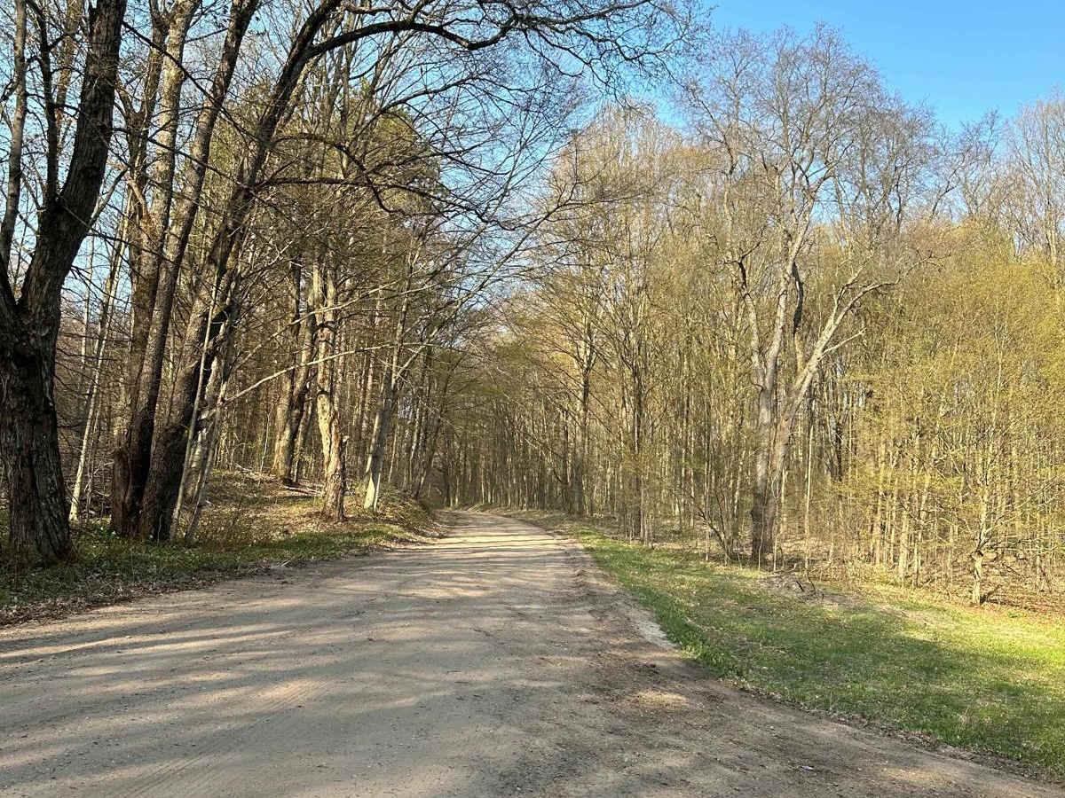 Cadillac Area ORV/OHV Scenic Ride - Part 5 photo 6