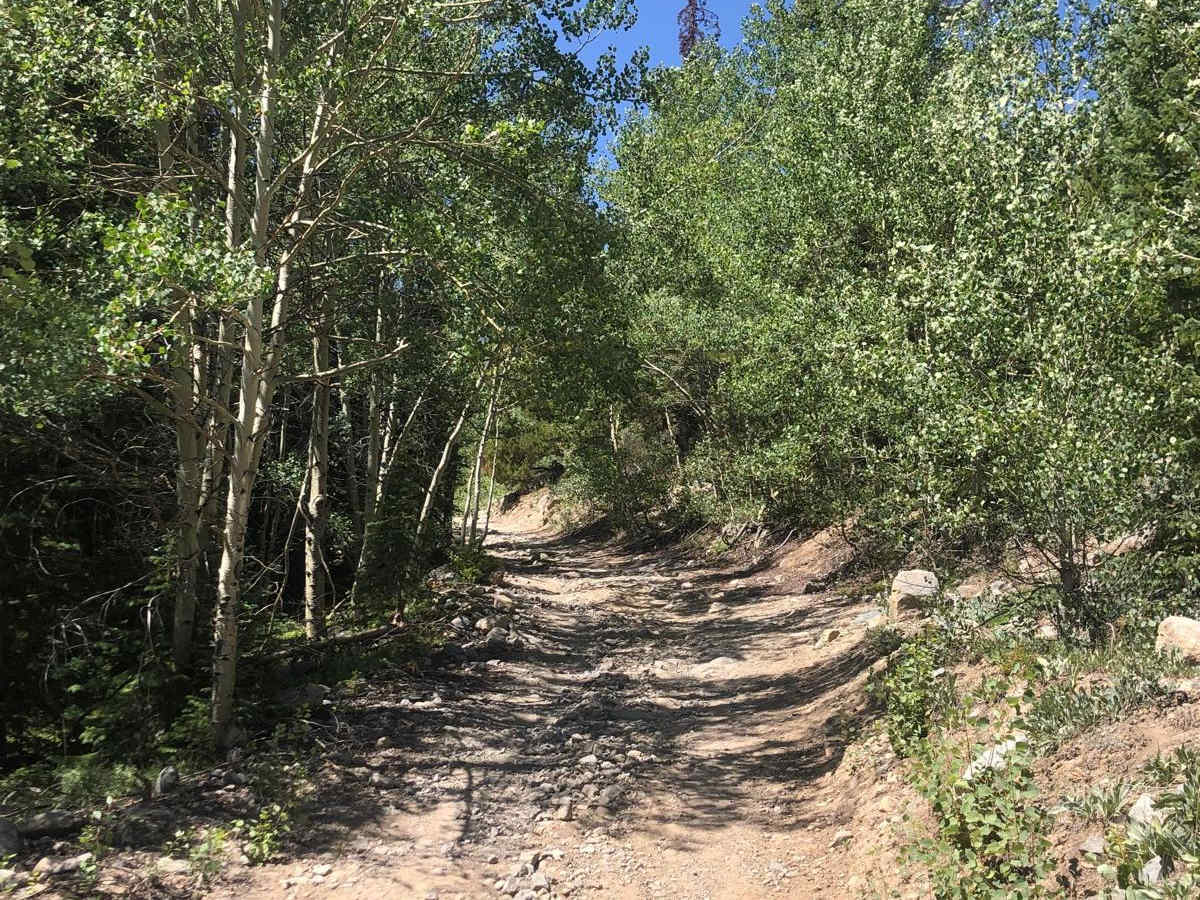 Grassy Gulch Road FS 349 photo 2