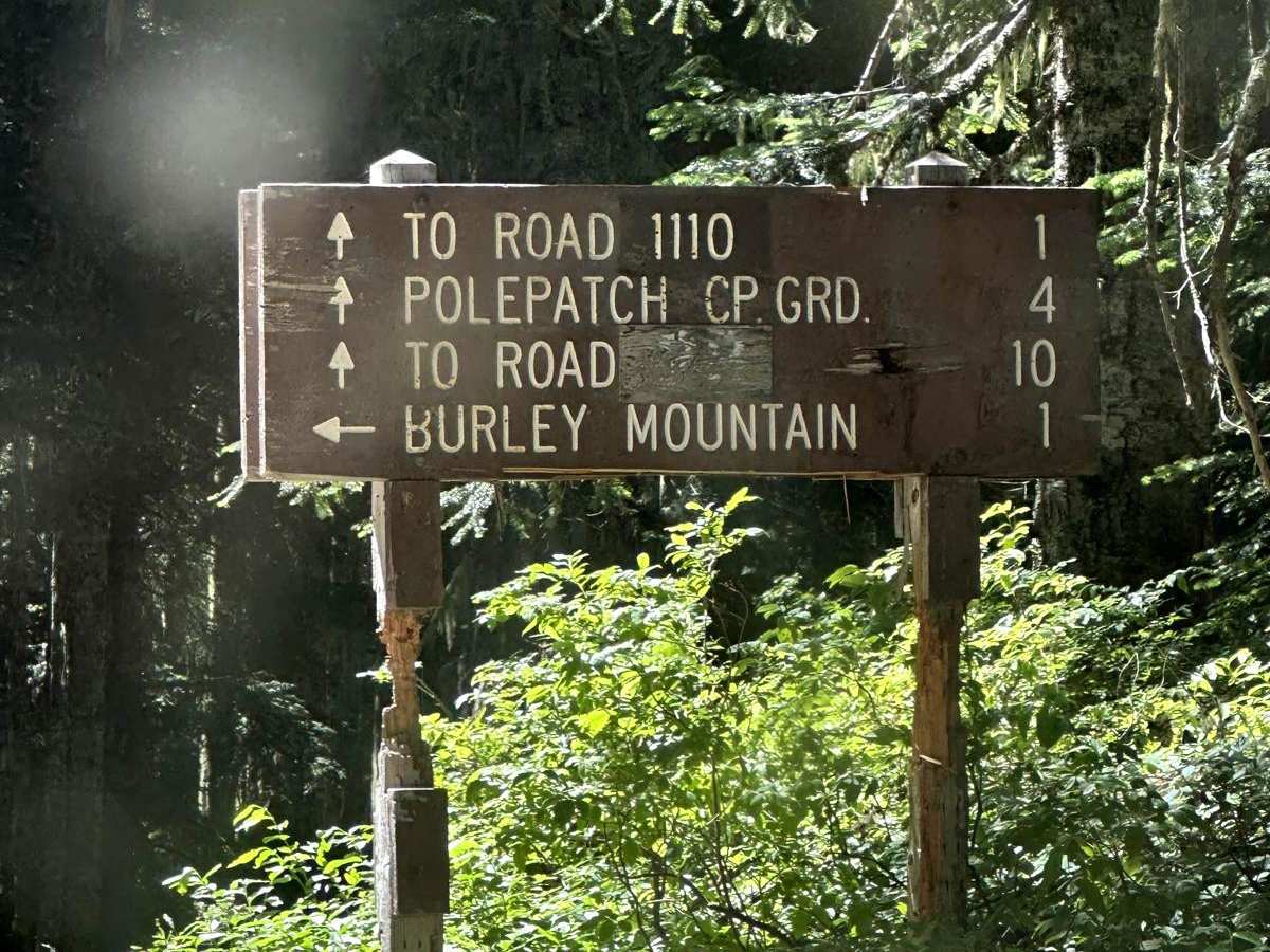 Burley Mountain Road photo 6