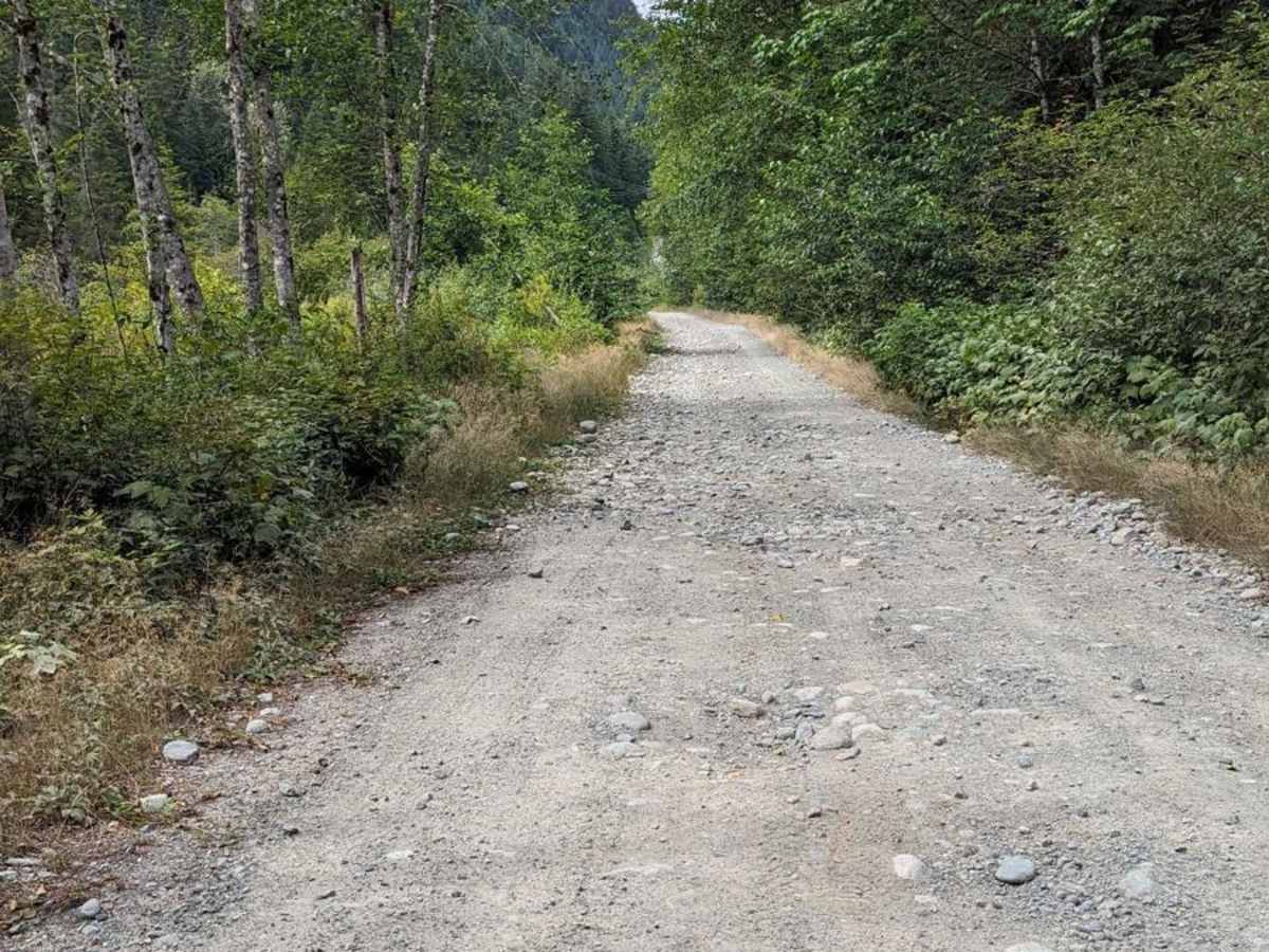 Squamish Indian Arm FSR photo 3